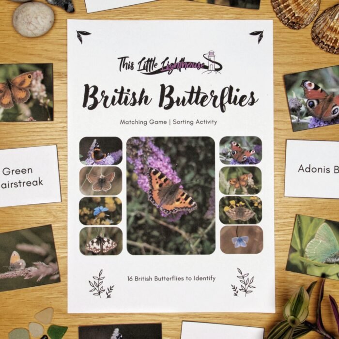 British Butterflies Matching Game