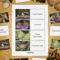 British Butterflies Matching Game - Image 2