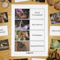 British Butterflies Matching Game - Image 3