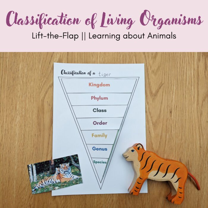 Lift-the-Flap Classification of Living Organisms